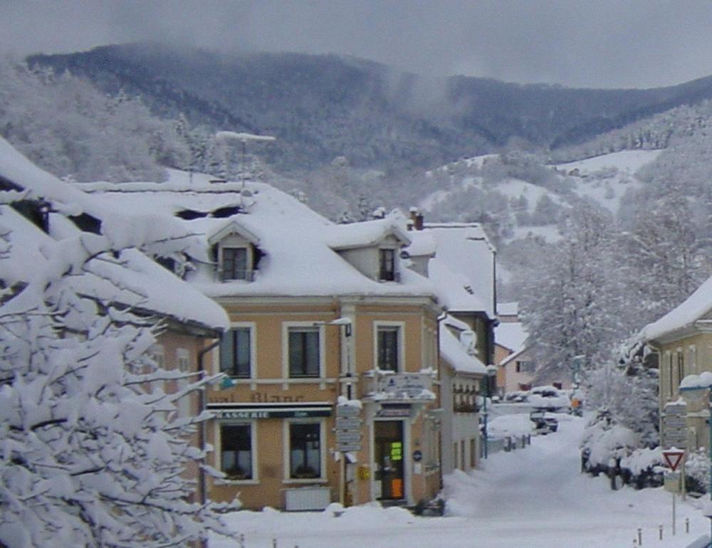 Au Cheval Blanc Ξενοδοχείο Saint-Amarin Εξωτερικό φωτογραφία
