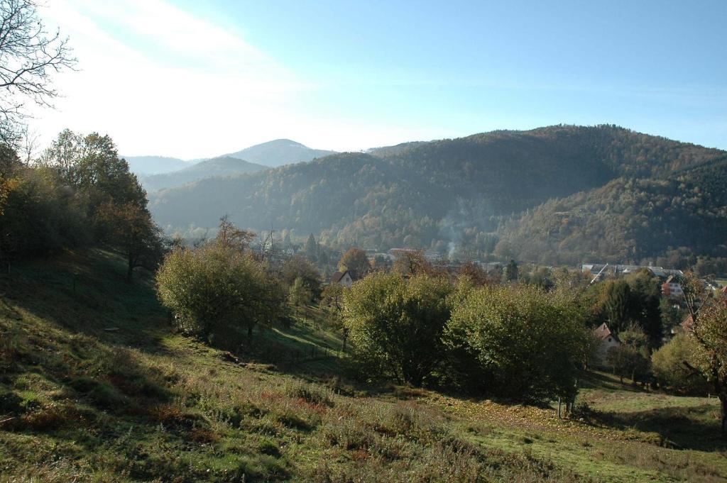 Au Cheval Blanc Ξενοδοχείο Saint-Amarin Εξωτερικό φωτογραφία